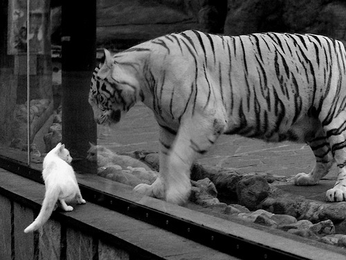 三线齐发,三笘薰为英超注入新能,英格兰提前终结悬念,皇马于无声处布局未来