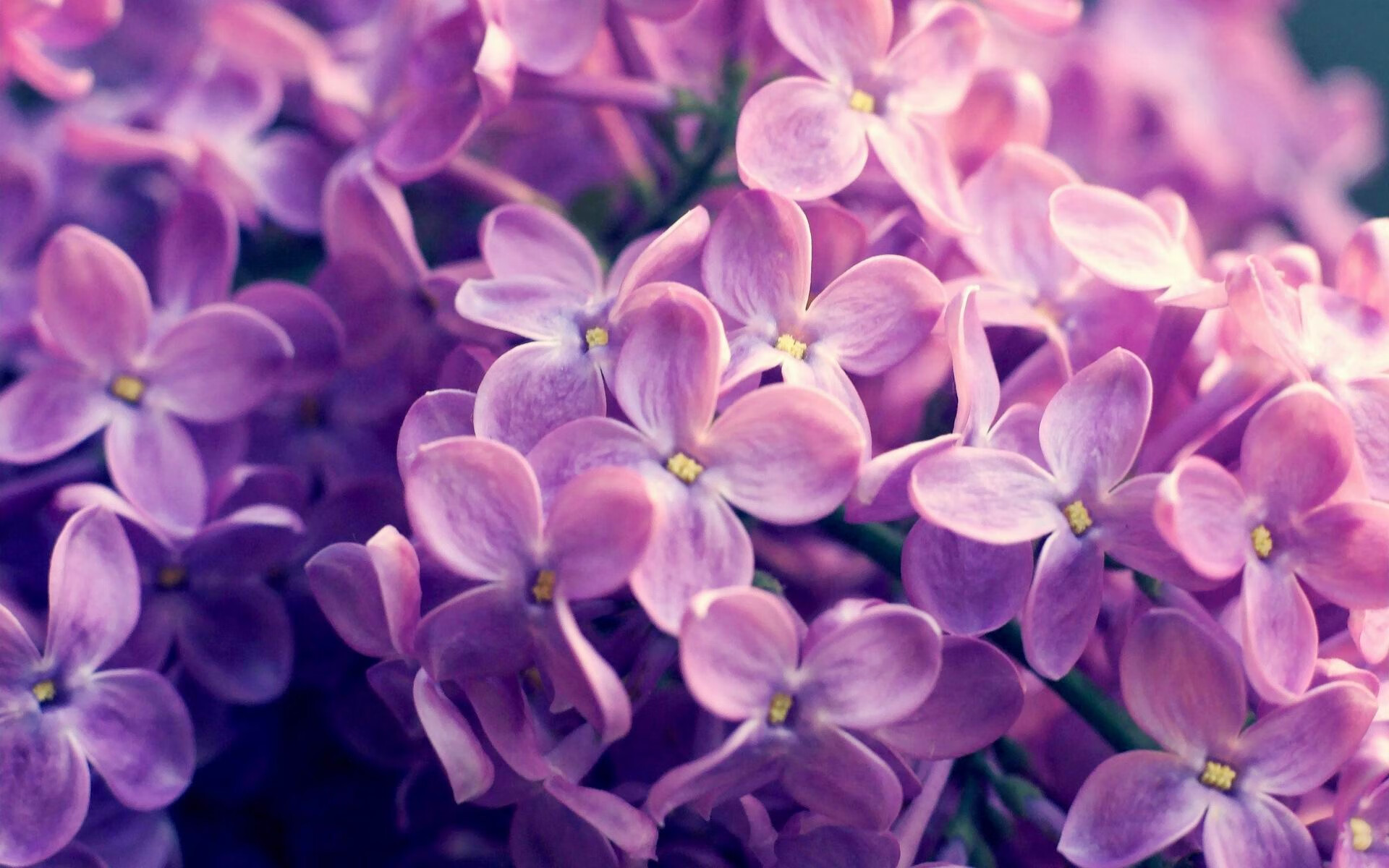 开云体育2026-银河战舰压哨击碎桑巴灵魂，一场融合两大足球文明的史诗对决