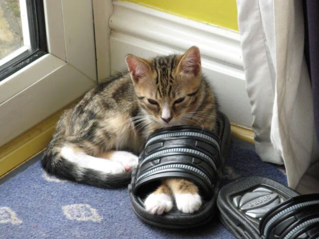 开云体育入口-逆转夜，传奇满分的定义，阿圭罗唯一性闪耀曼城淘汰摩纳哥之战