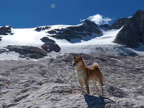 开云体育在线-决战时刻，谁与争锋，浓眉总决赛之夜独挑大梁