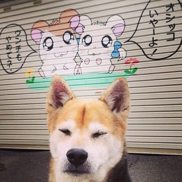 跨时空连线,当杜兰特末节觉醒,辽宁用窒息防守带走胜利