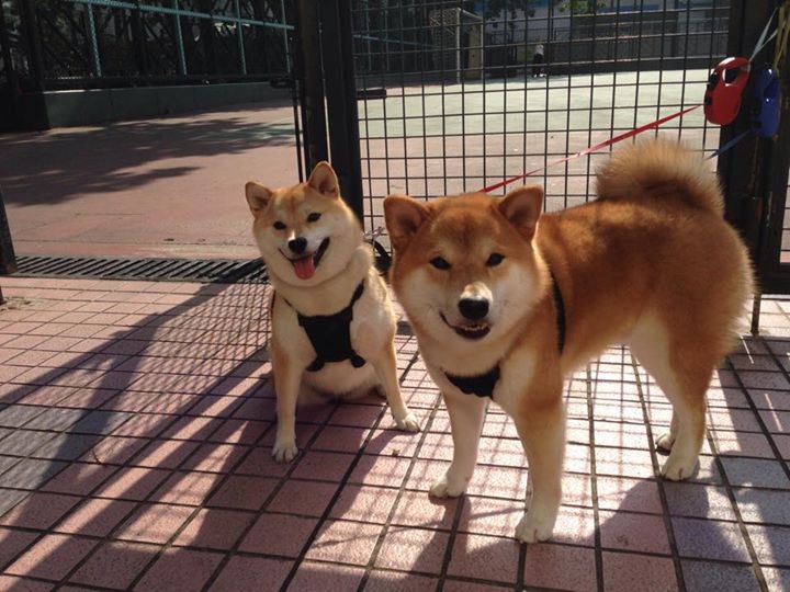 开云sport-阿尔卑斯山的惊雷，阿拉巴末节接管比赛，哥斯达黎加击败英格兰的启示录