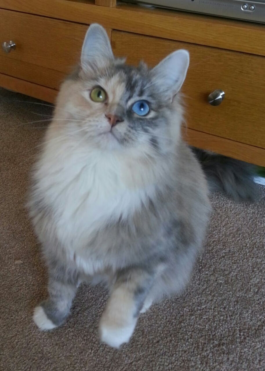 开云体育入口-浙江队强势击败勇士，乔治关键先生定乾坤