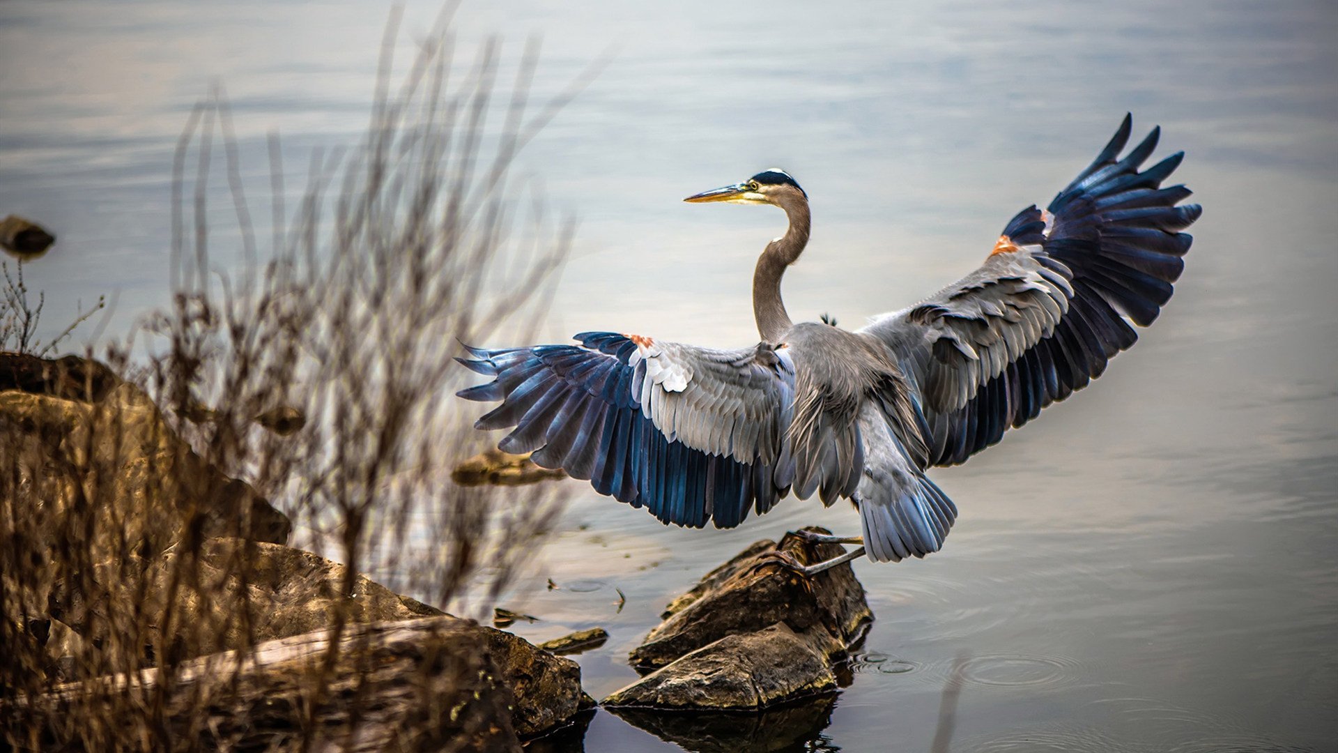 绿茵战争，当几内亚的弯刀收割喀麦隆，拉什福德成为关键先生