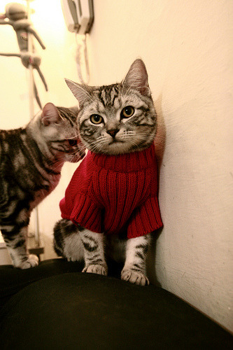 开云体育在线-太阳终将升起，詹姆斯的史诗之夜与永不熄灭的竞技之火