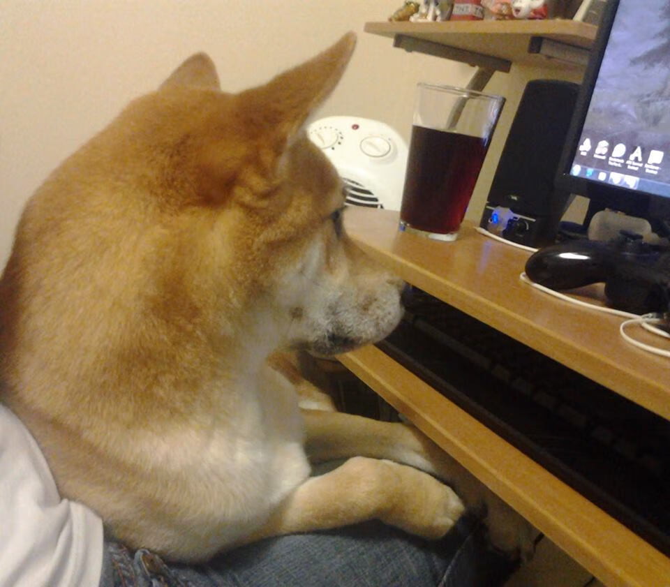 足球奇迹夜，马德里竞技绝杀瑞典，梅西压力下爆发