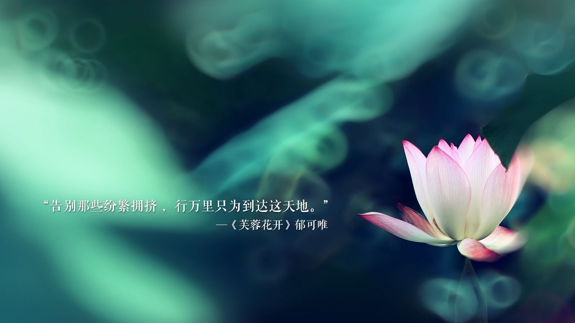 血洗绿茵，东欧铁骑碾碎两河文明，莱万神锋加冕却目送替补奇兵改写E组命运