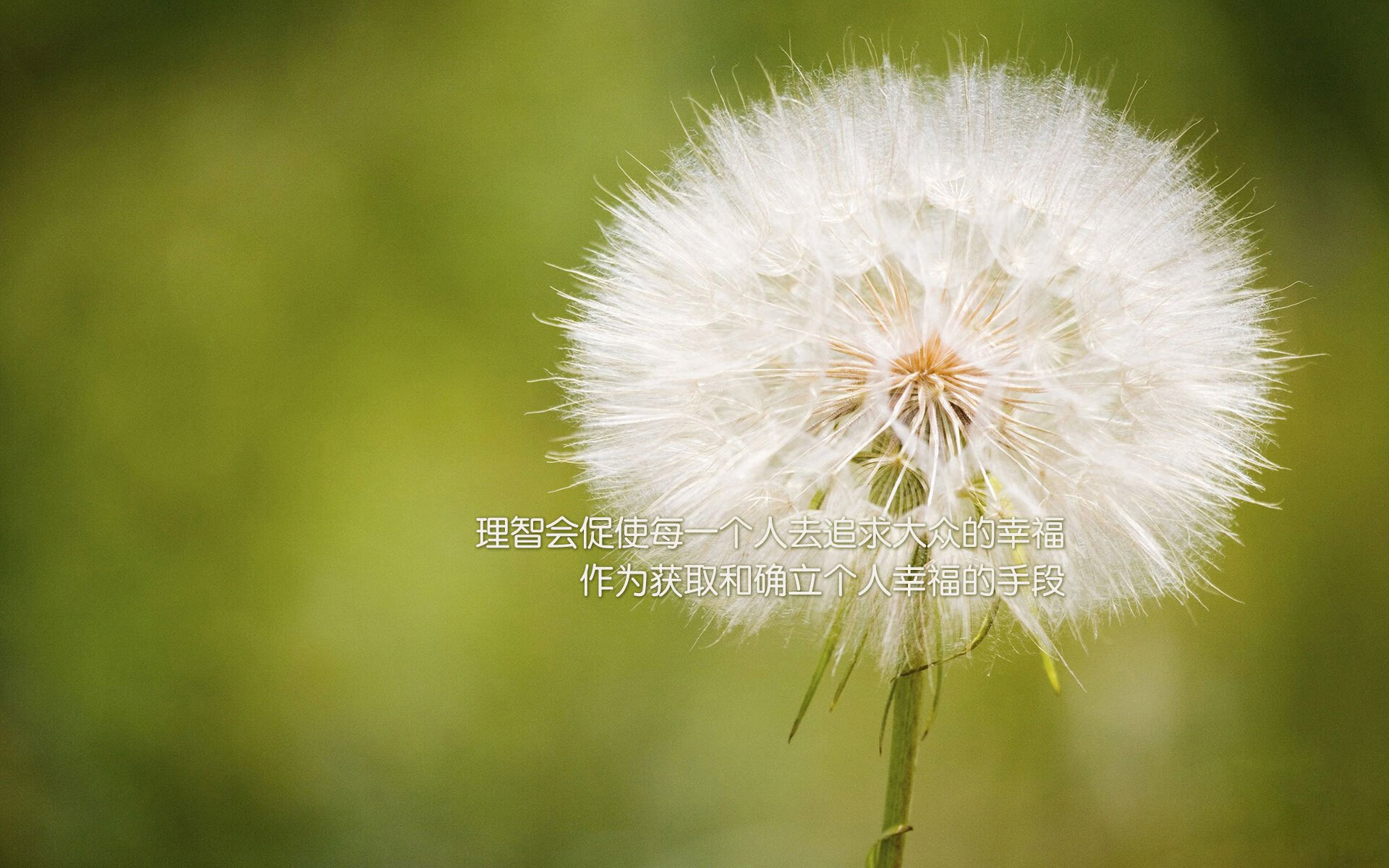 沙漠之狐的利齿,伊拉克如何在A组关键战中用犀利进攻咬碎哥斯达黎加?萨内独造两球导演险胜